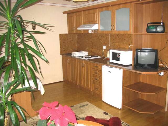 Апартаменты Apartment Duży-3 Бялка-Татшаньска-22